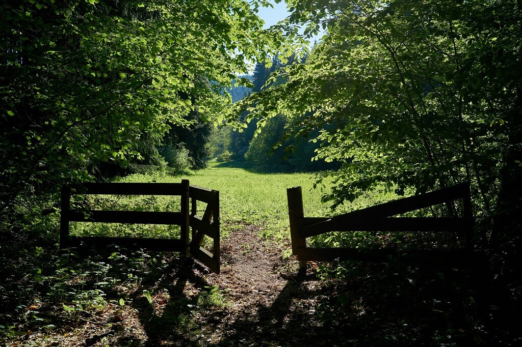 Rural wooden gate opening into a beautiful green meadow representing being free.