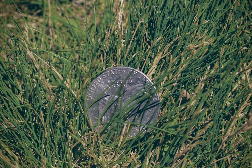 A coin rests in grass , representing that you can discover your unique capability that people want and need and will pay for. 